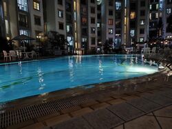 The Sunny Spring (D14), Apartment #611987541
